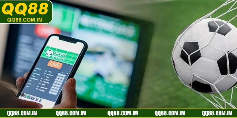 Những loại kèo cược được người dùng ưa chuộng nhất tại thể thao QQ88