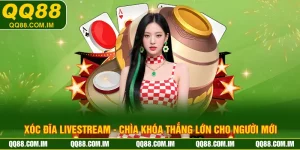 Xóc Đĩa Livestream - Chìa Khóa Thắng Lớn Cho Người Mới